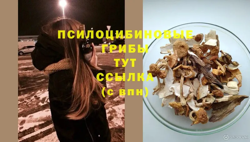 Галлюциногенные грибы Magic Shrooms  даркнет формула  Арсеньев 